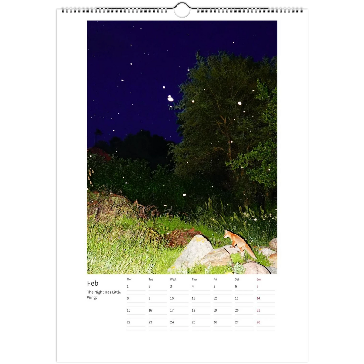 wall-calendars-2027-eu-rest-of-world