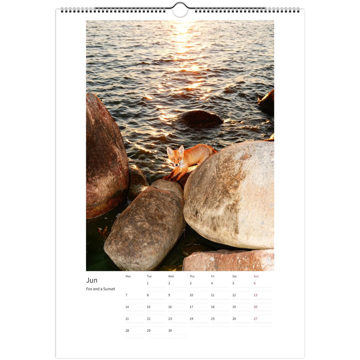 wall-calendars-2027-eu-rest-of-world