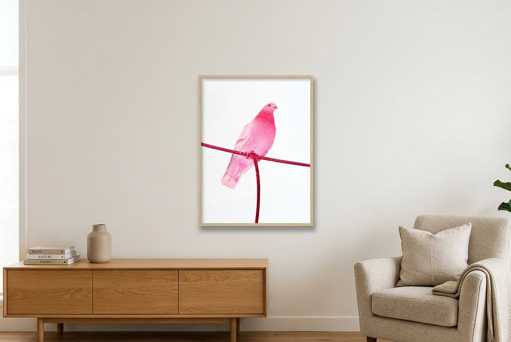 Pink Pigeon - Limited Edition — 60×80cm, 24×31" Oak Frame