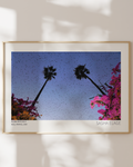 Murmurations 4 - Open Edition