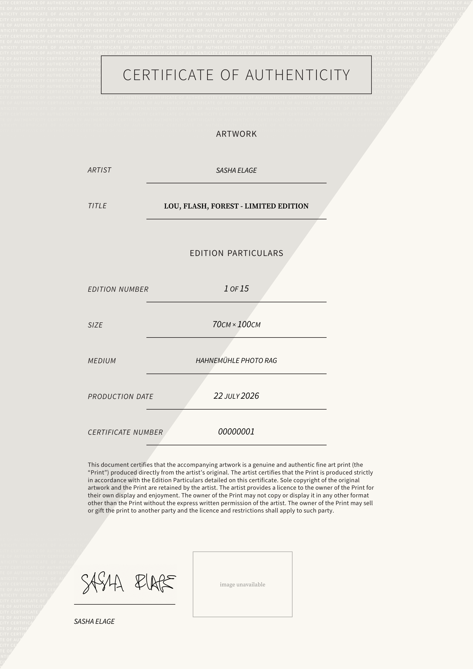Lou, Flash, Forest - Limited Edition — Certificate of Authenticity