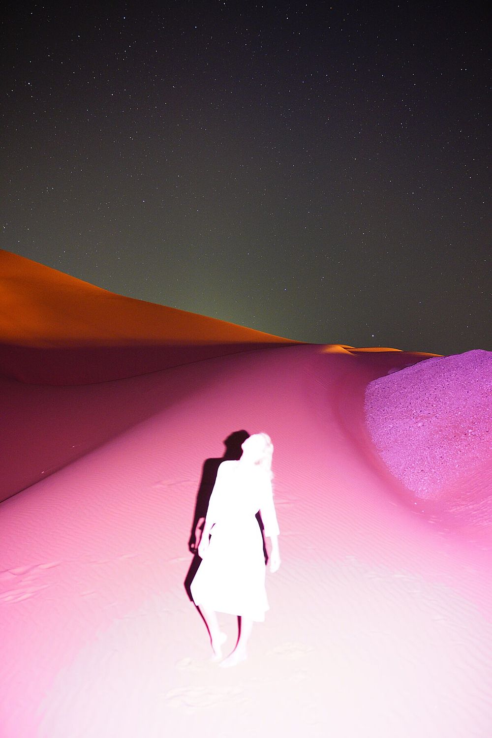 Pinklgrim - Limited Edition
