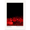 Eyes of the Night, fine art photograph by Sasha Elage, Constellambs collection