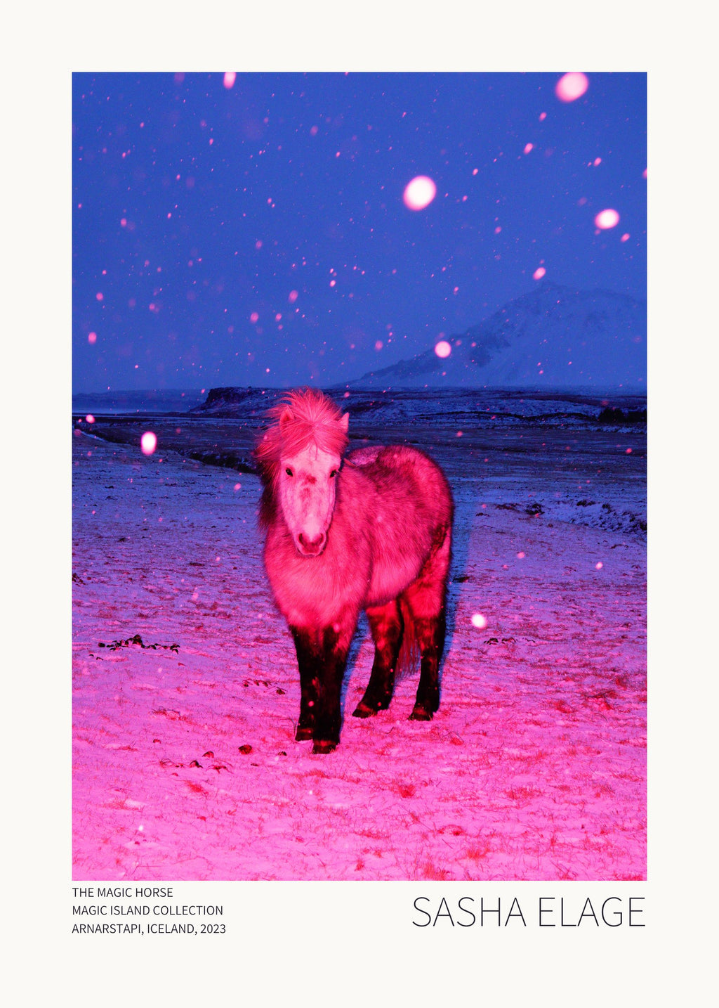 The Magic Horse - Open Edition