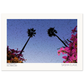 Murmurations 4, fine art photograph by Sasha Elage, Murmurations collection