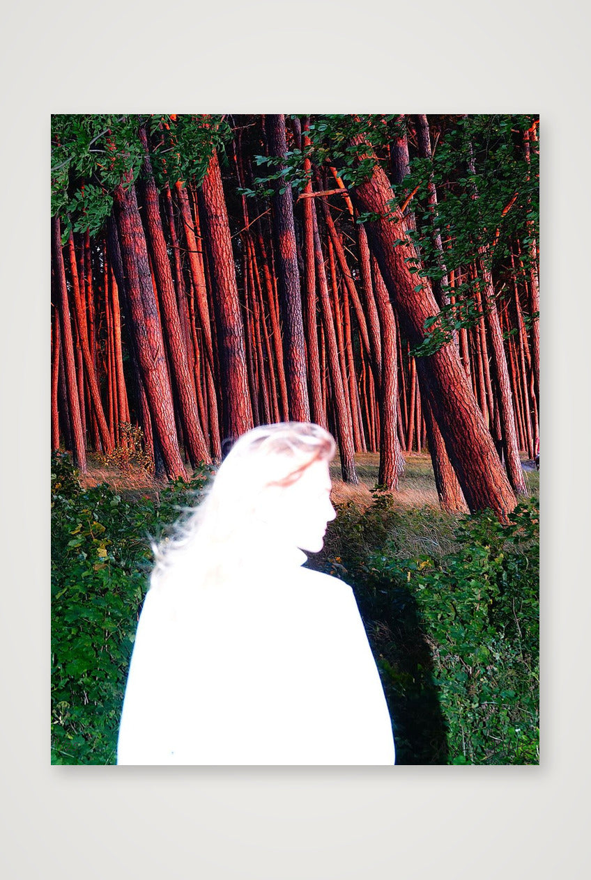 Lou, Flash, Forest - Limited Edition — 60×80cm, 24×31" Print only