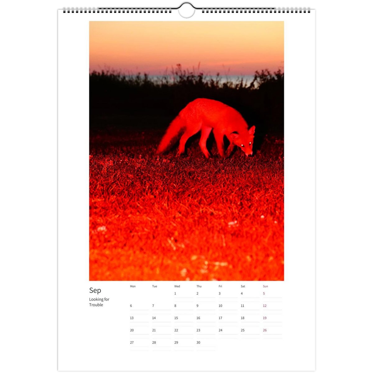 wall-calendars-2027-eu-rest-of-world