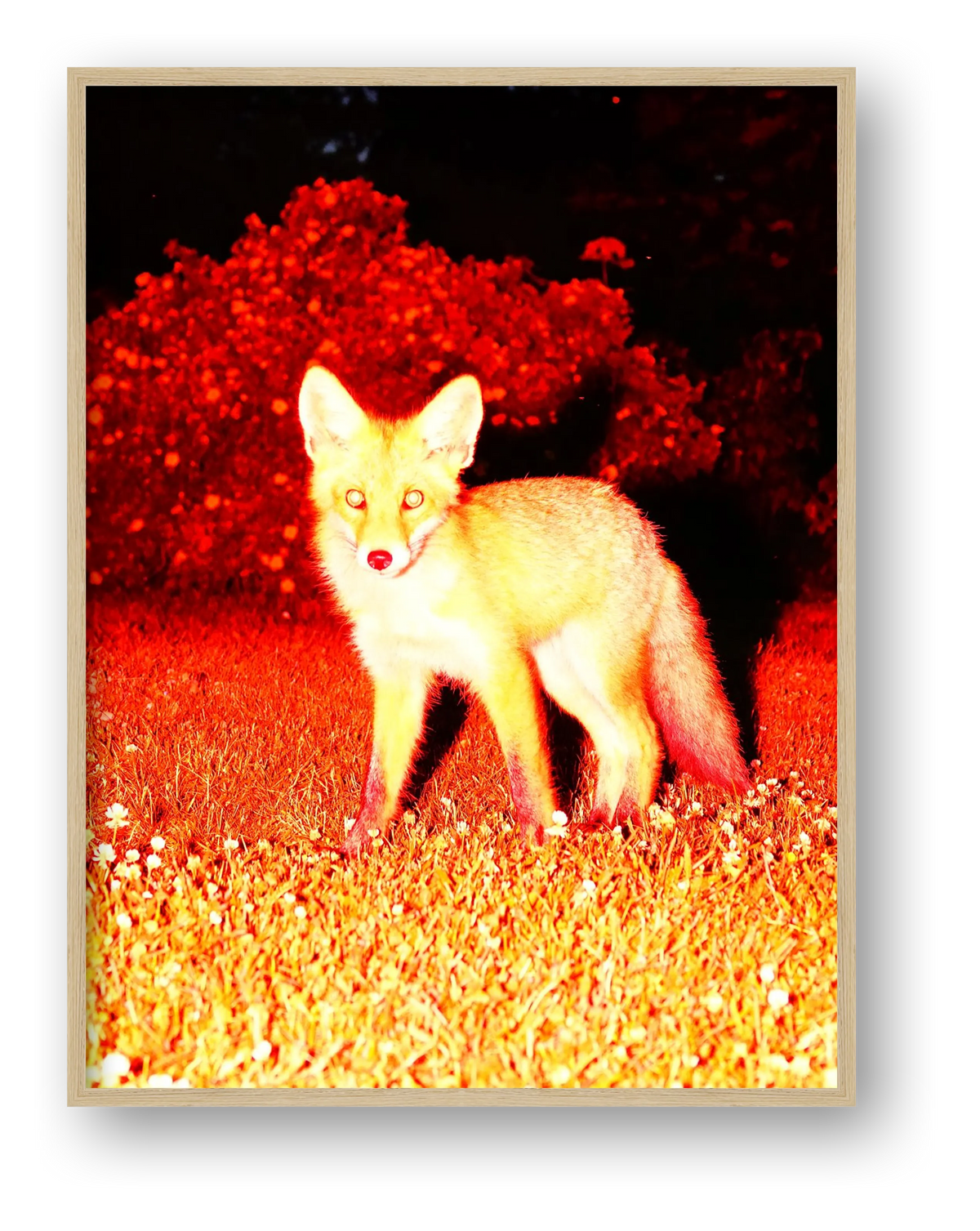 Intruder 2 — framed