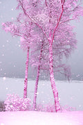 Pinkscape - Limited Edition