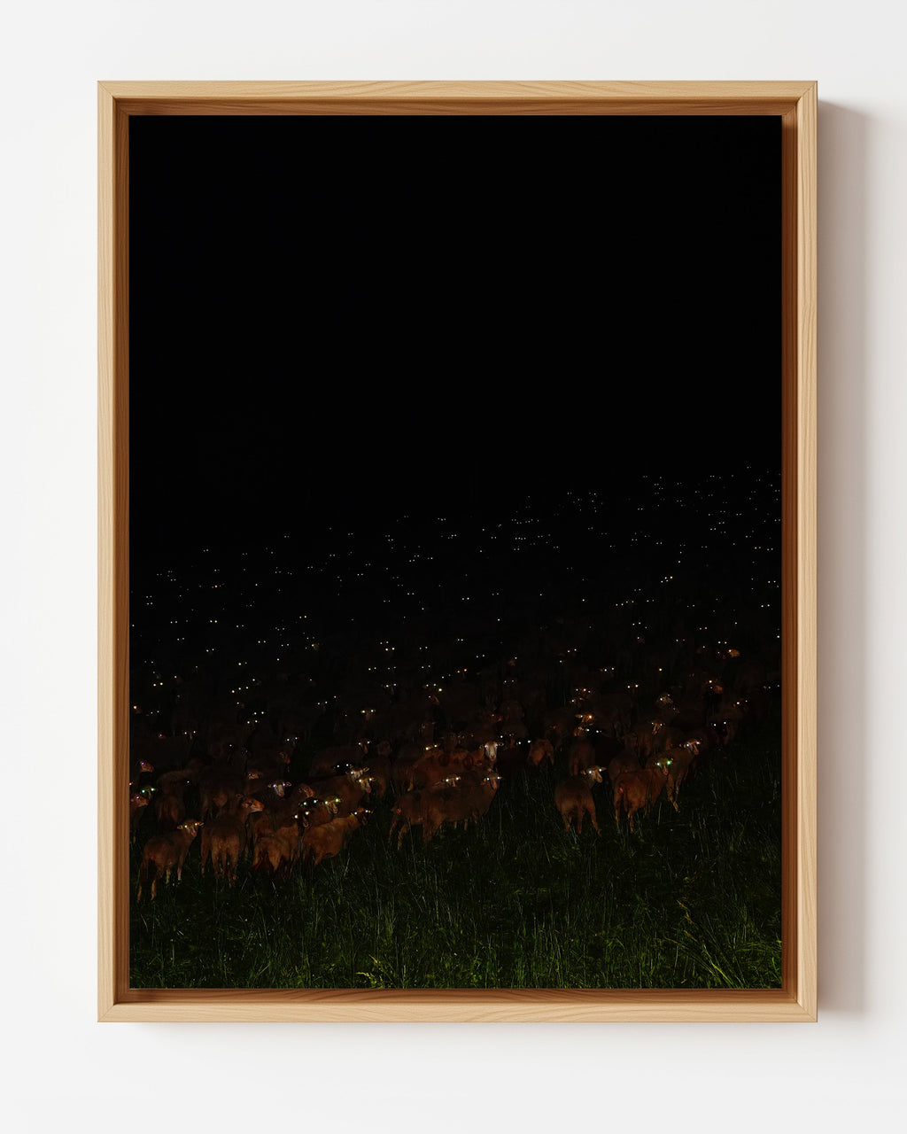 Constellambs - Framed Canvas