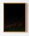 Constellambs - Framed Canvas