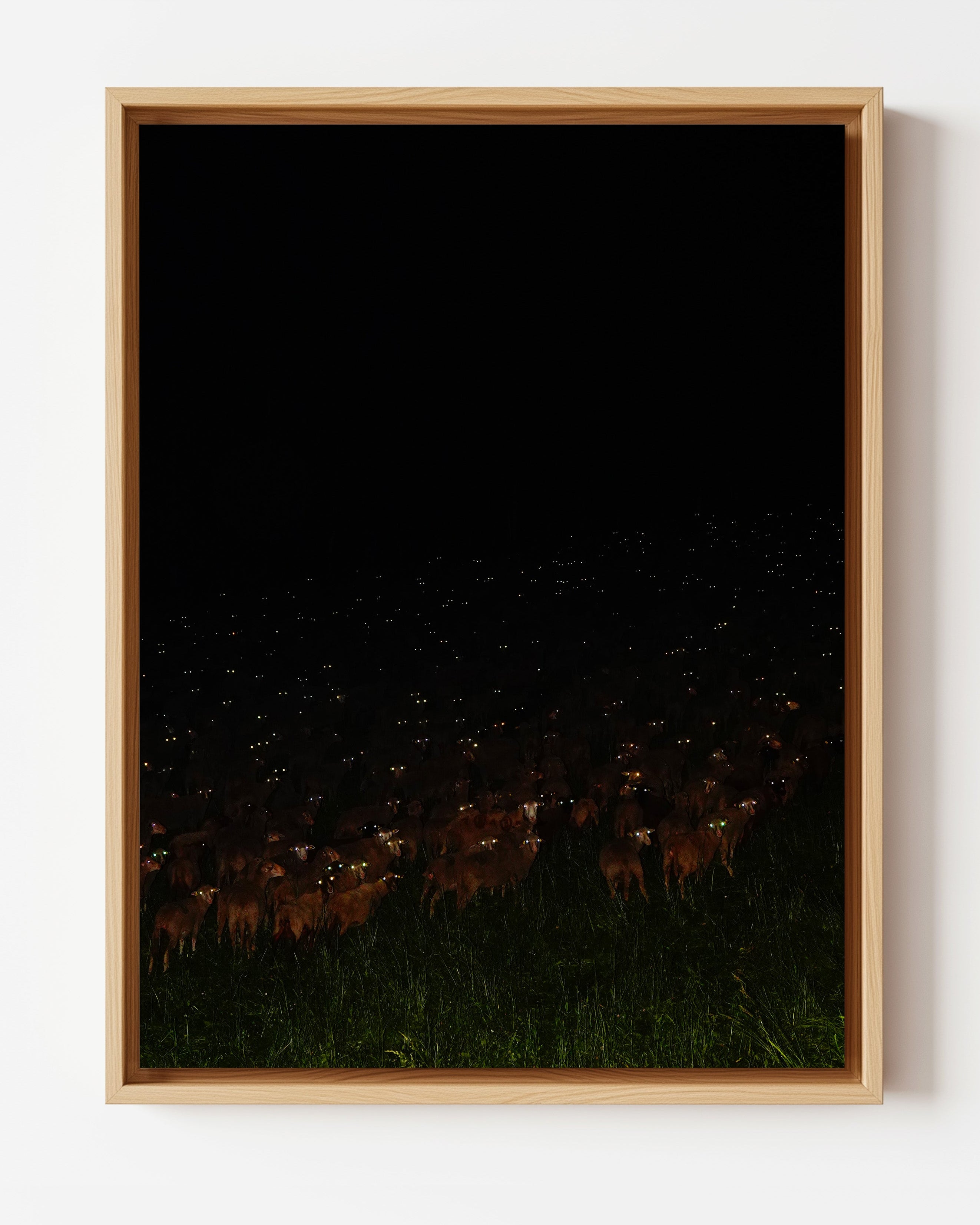 Constellambs - Framed Canvas