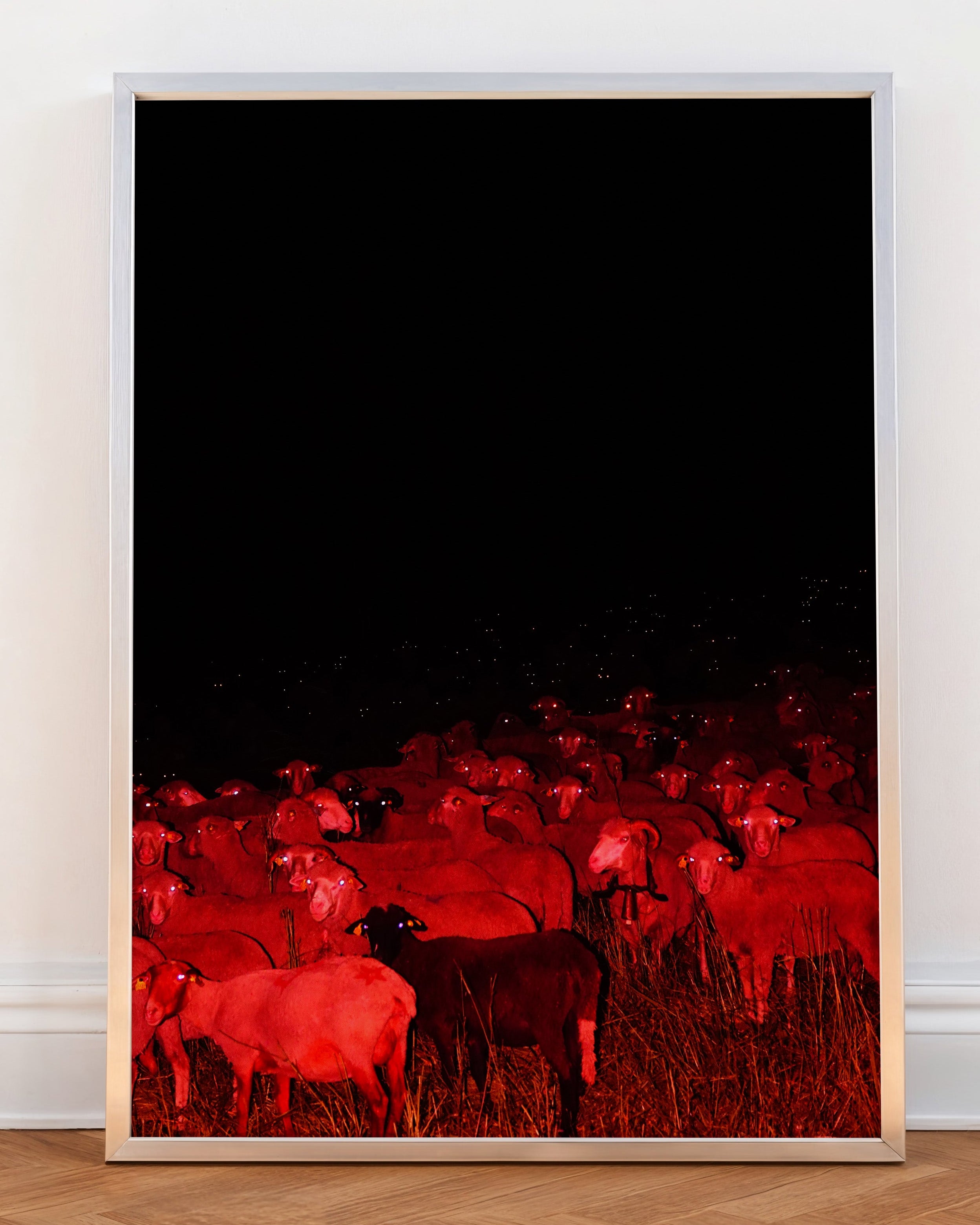 Eyes of the Night - Limited Edition