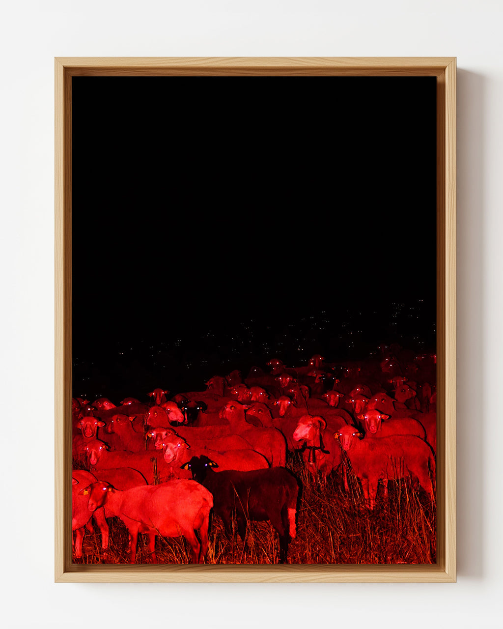 Eyes of the Night - Framed Canvas
