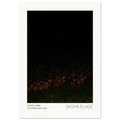 Constellambs, fine art photograph by Sasha Elage, Constellambs collection