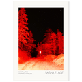 Constellation, fine art photograph by Sasha Elage, Constellambs collection