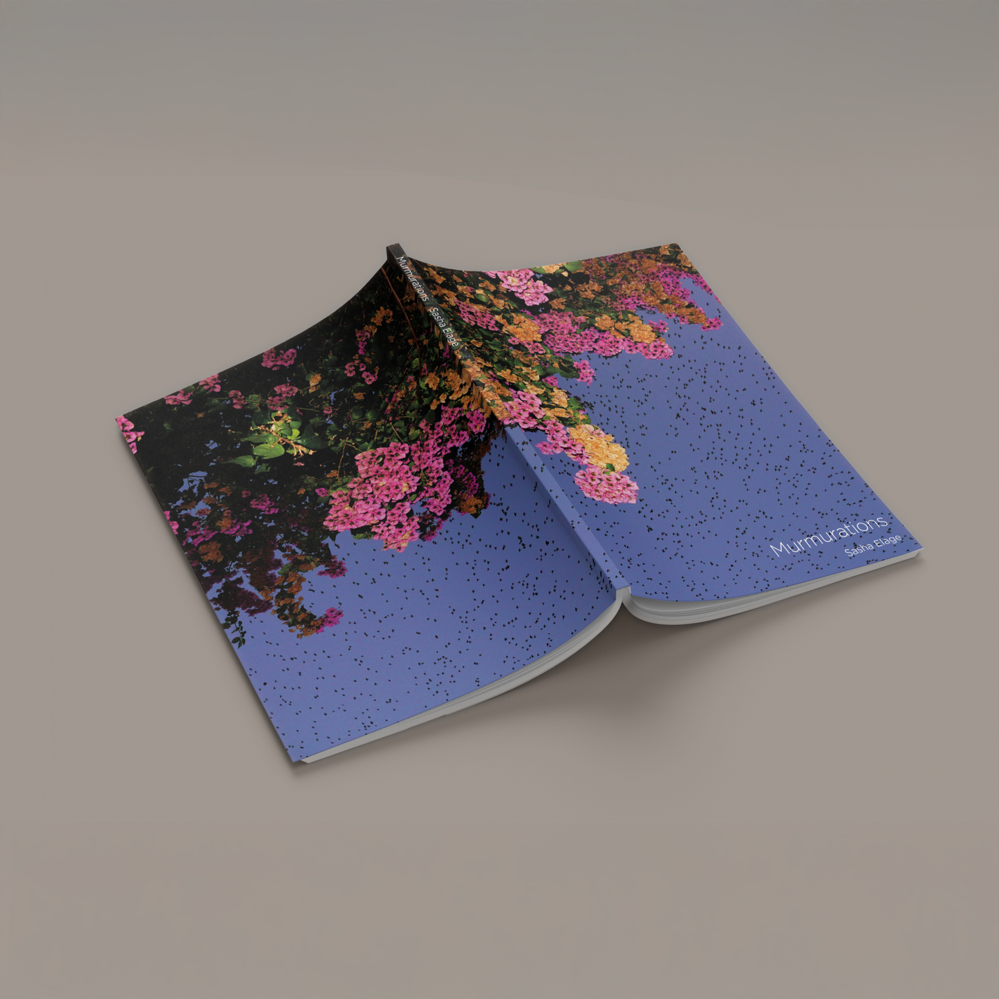 "Murmurations" Photography Book
