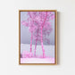Pinkscape