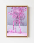 Pinkscape - Framed Canvas