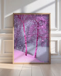 Pinkturesque - Limited Edition