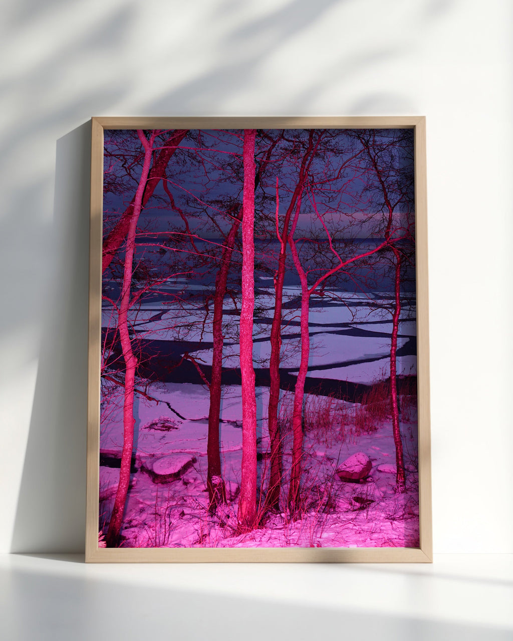 Frozen in Pink - Limited Edition