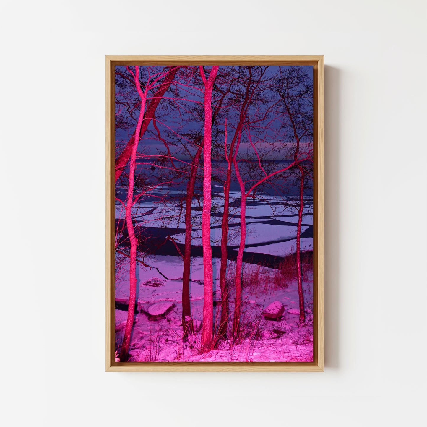 Frozen in Pink