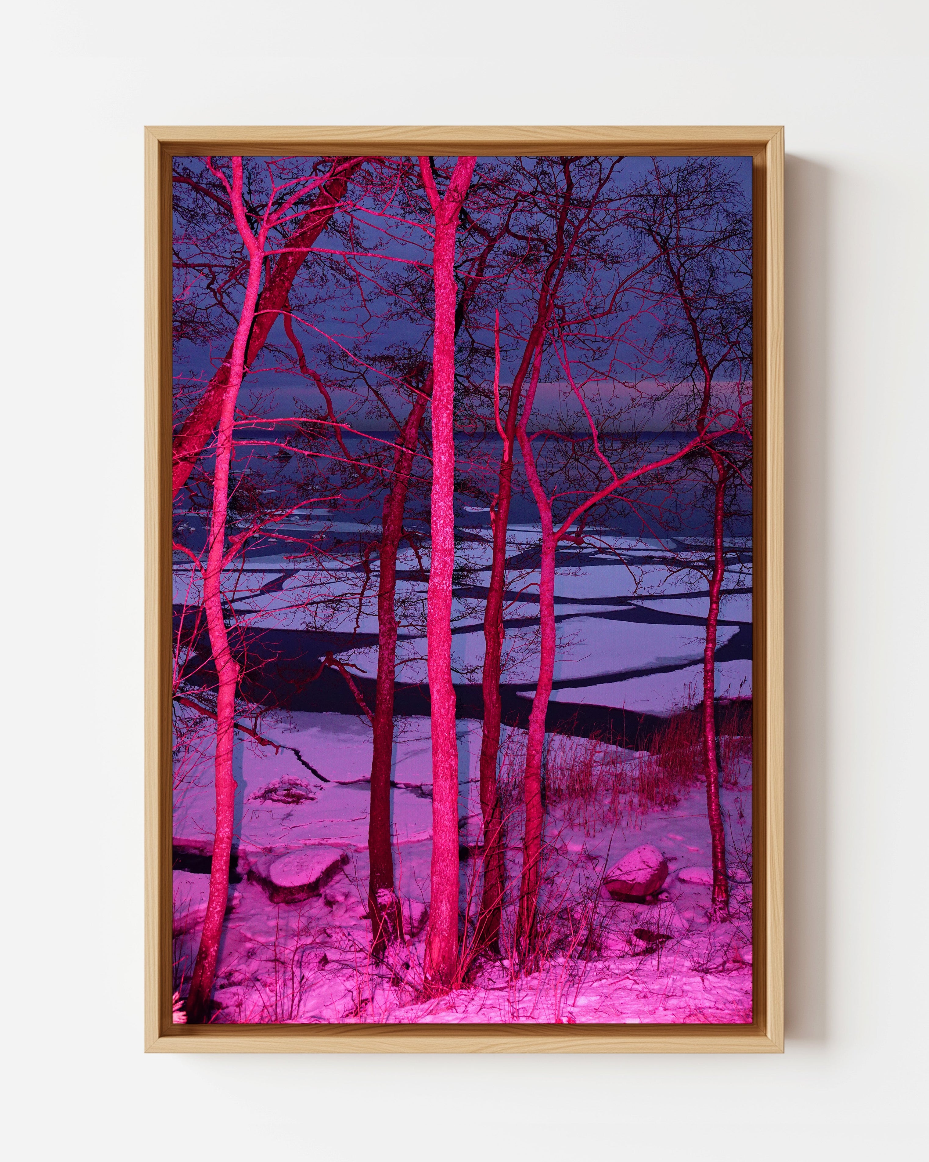 Frozen in Pink - Limited Edition