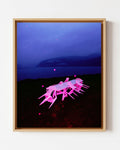 Postponed Pink Promises - Framed Canvas