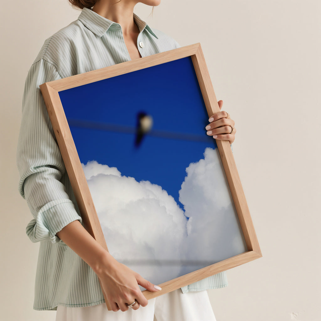 Sky Swallows Swallow - Framed Canvas