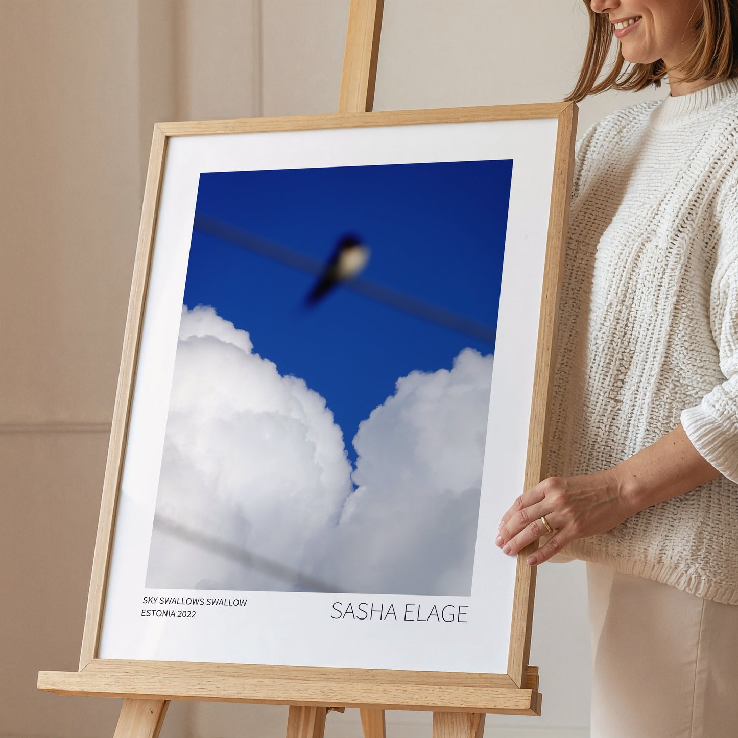 Sky Swallows Swallow