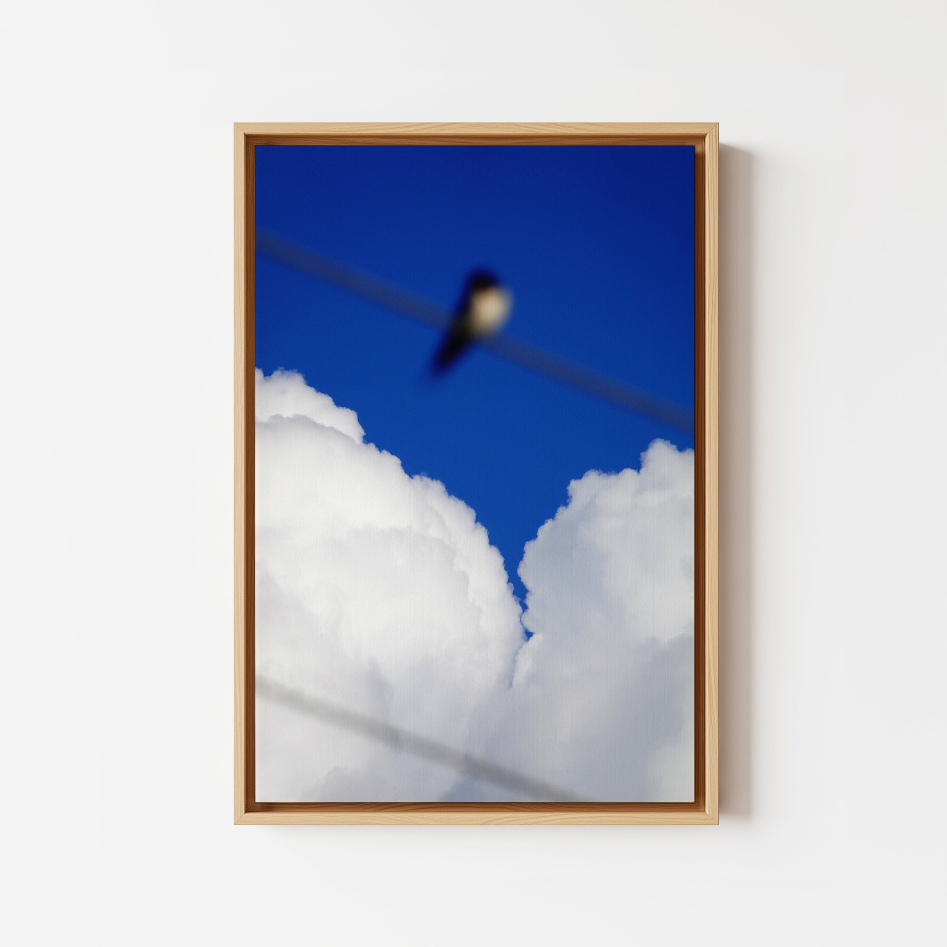 Sky Swallows Swallow - Framed Canvas