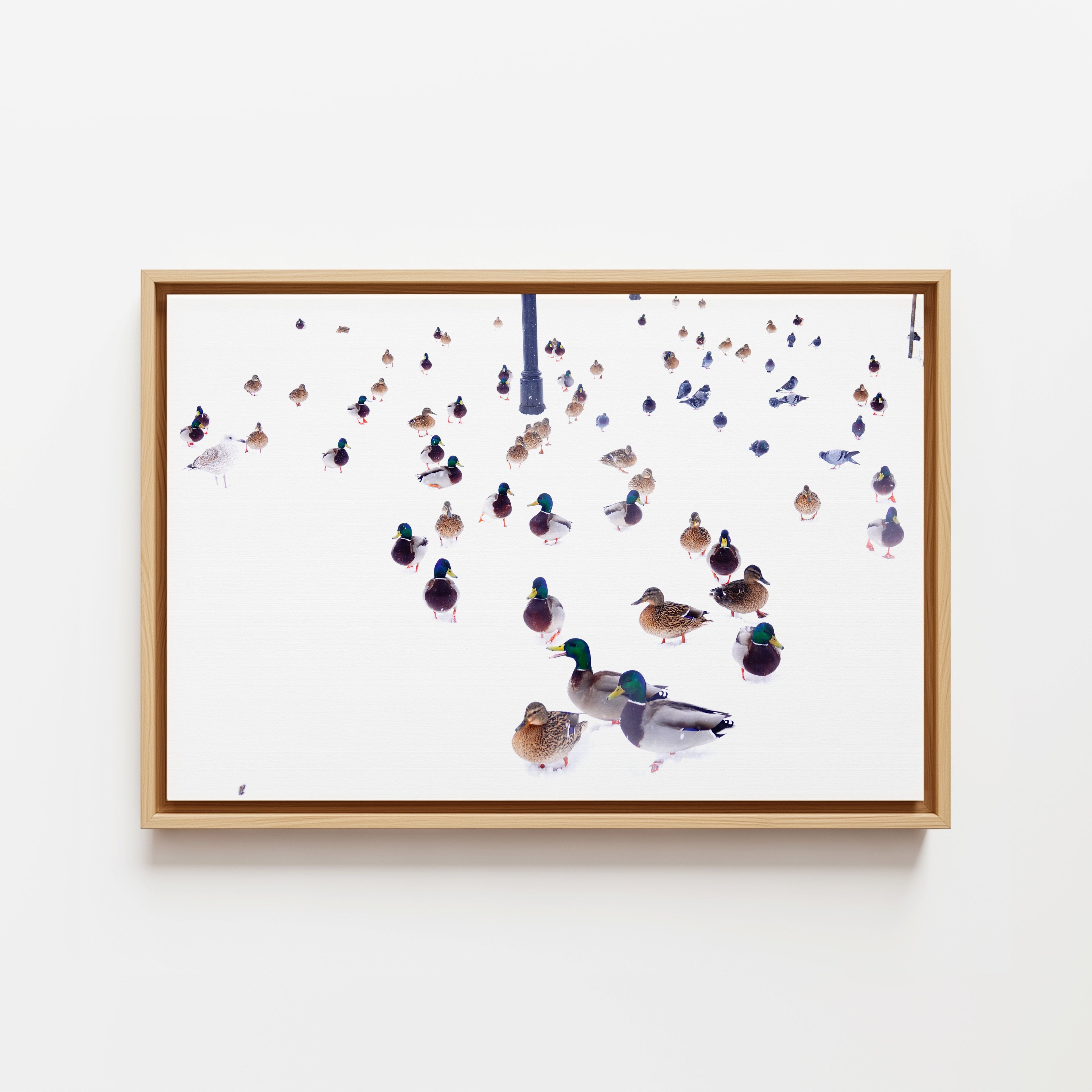 The Gathering Two - Framed Canvas