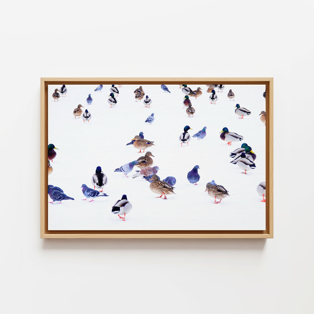 The Gathering One - Framed Canvas