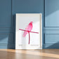 Pink Pigeon