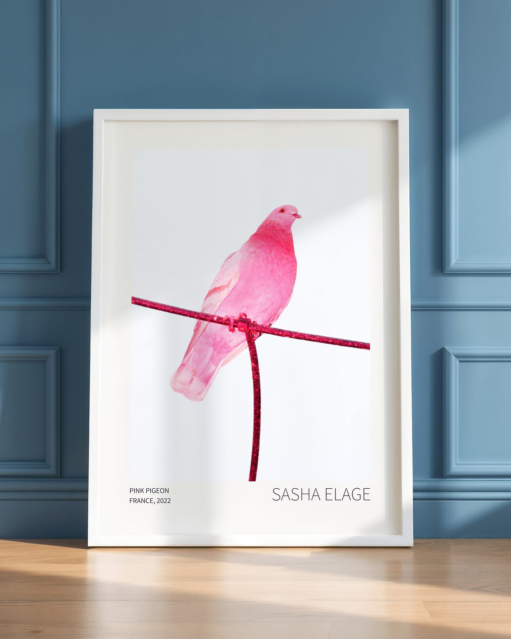 Pink Pigeon - Open Edition