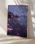 Pink Snow, Swan Lake - Limited Edition