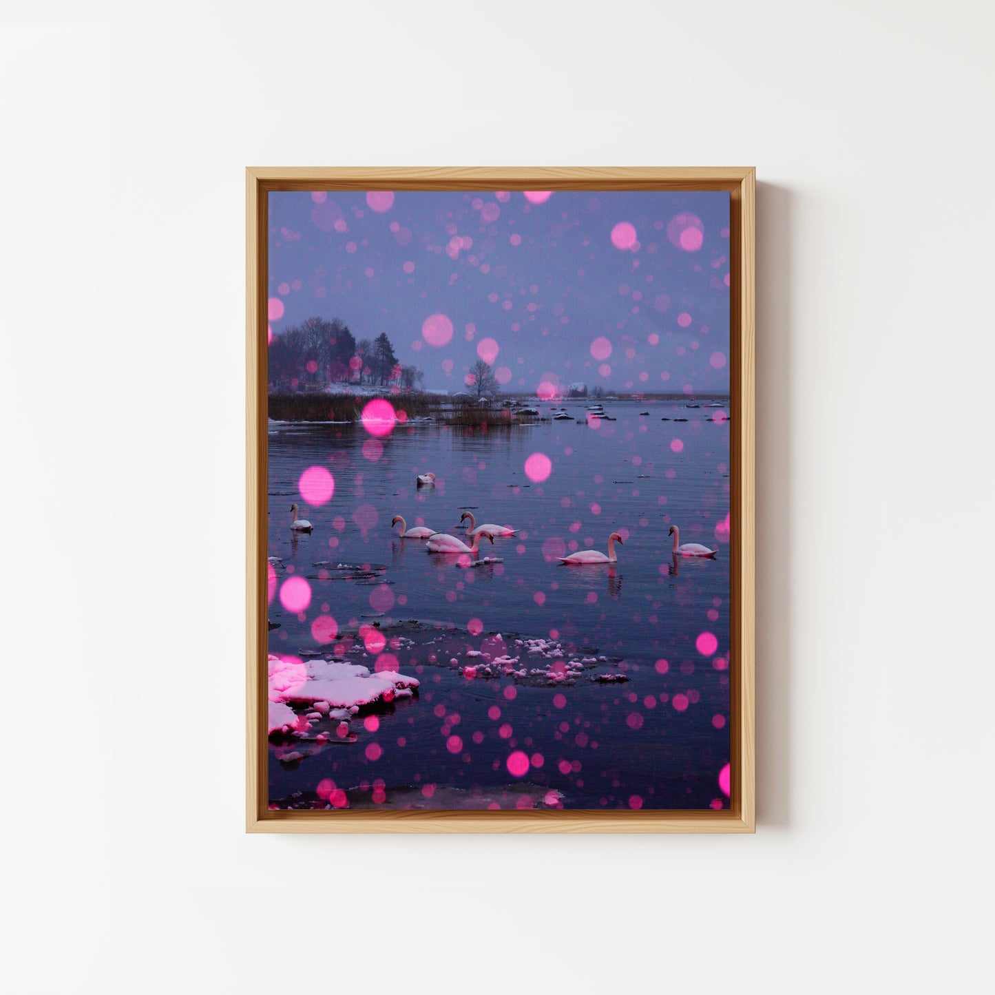 Pink Snow, Swan Lake