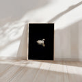 Lonely Swan - Limited Edition