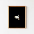 Lonely Swan - Framed Canvas