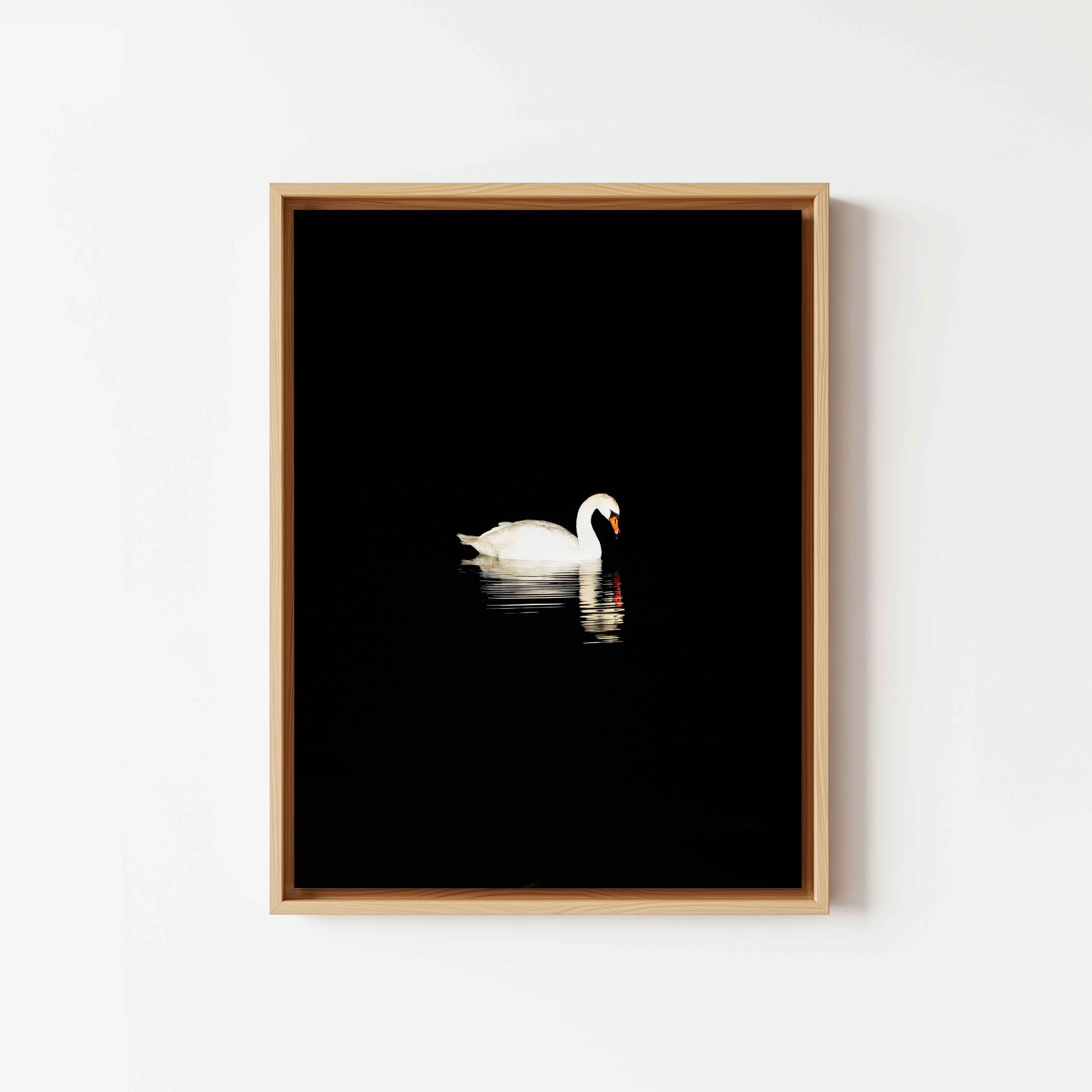 Lonely Swan - Framed Canvas