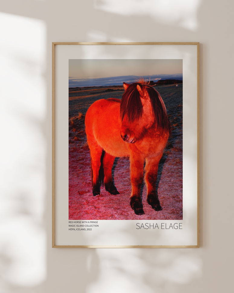 Red Horse with a Fringe - Limited Edition