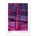 Frozen in Pink, fine art photograph by Sasha Elage, Dreaming In Pink collection