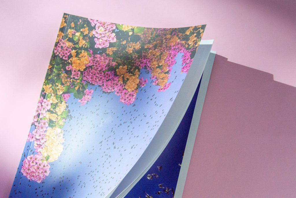 "Murmurations" Photography Book