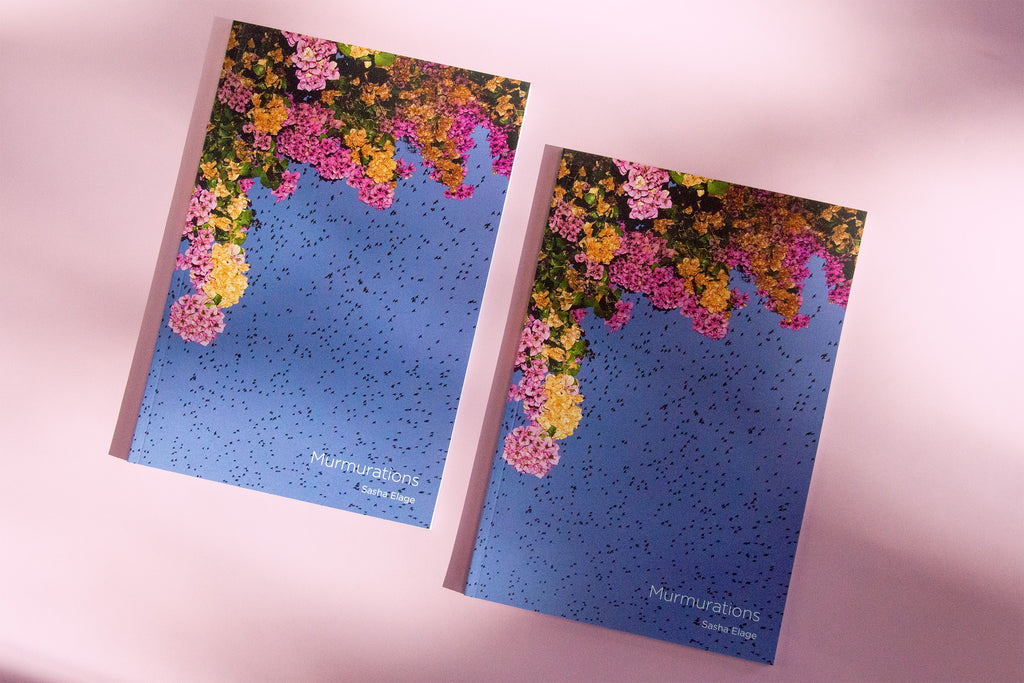 "Murmurations" Photography Book