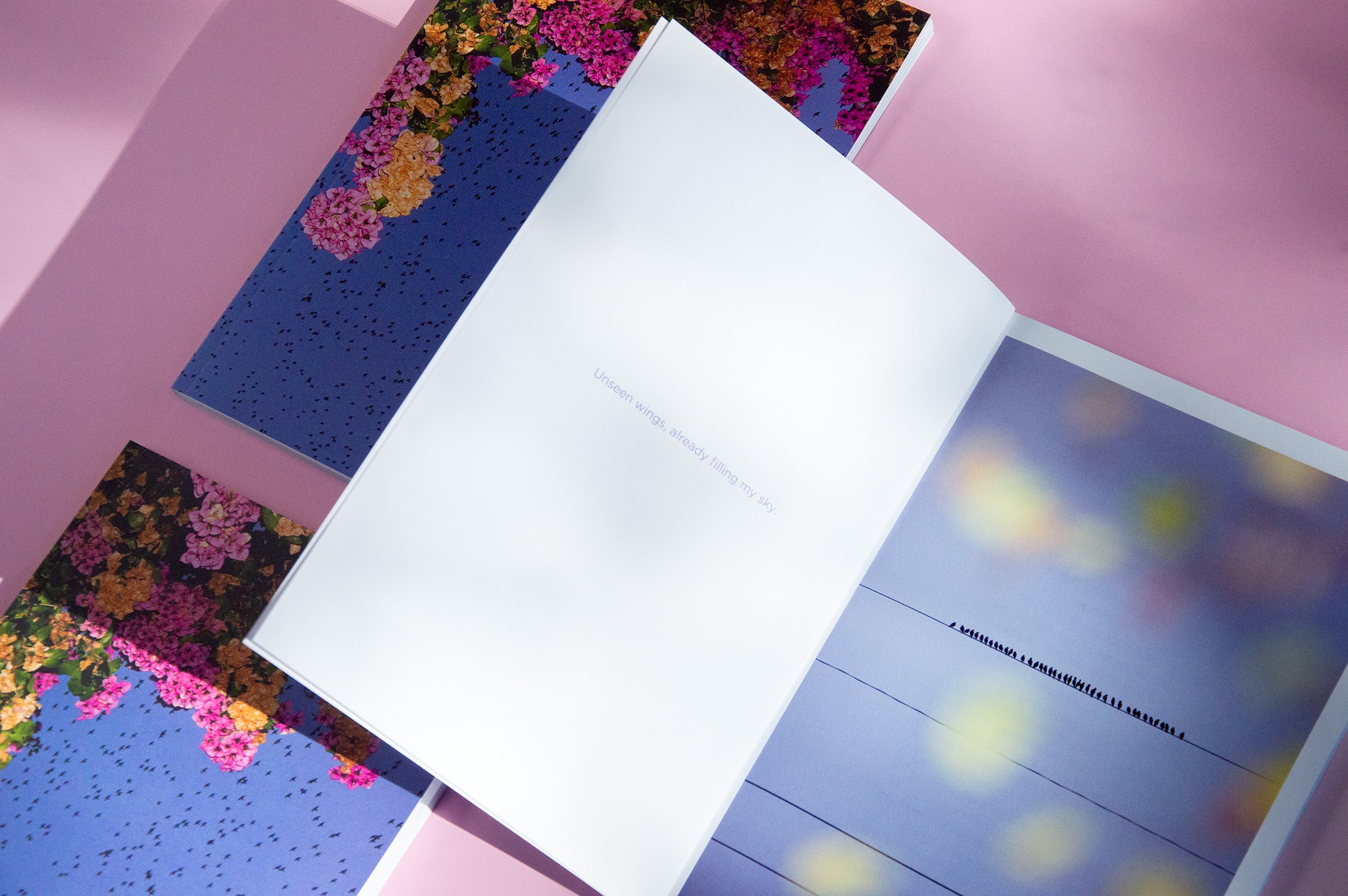 "Murmurations" Photography Book