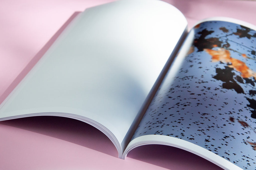 "Murmurations" Photography Book