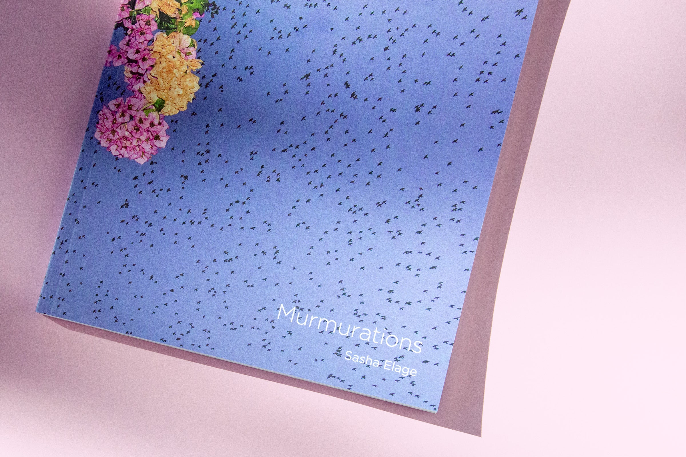 "Murmurations" Photography Book