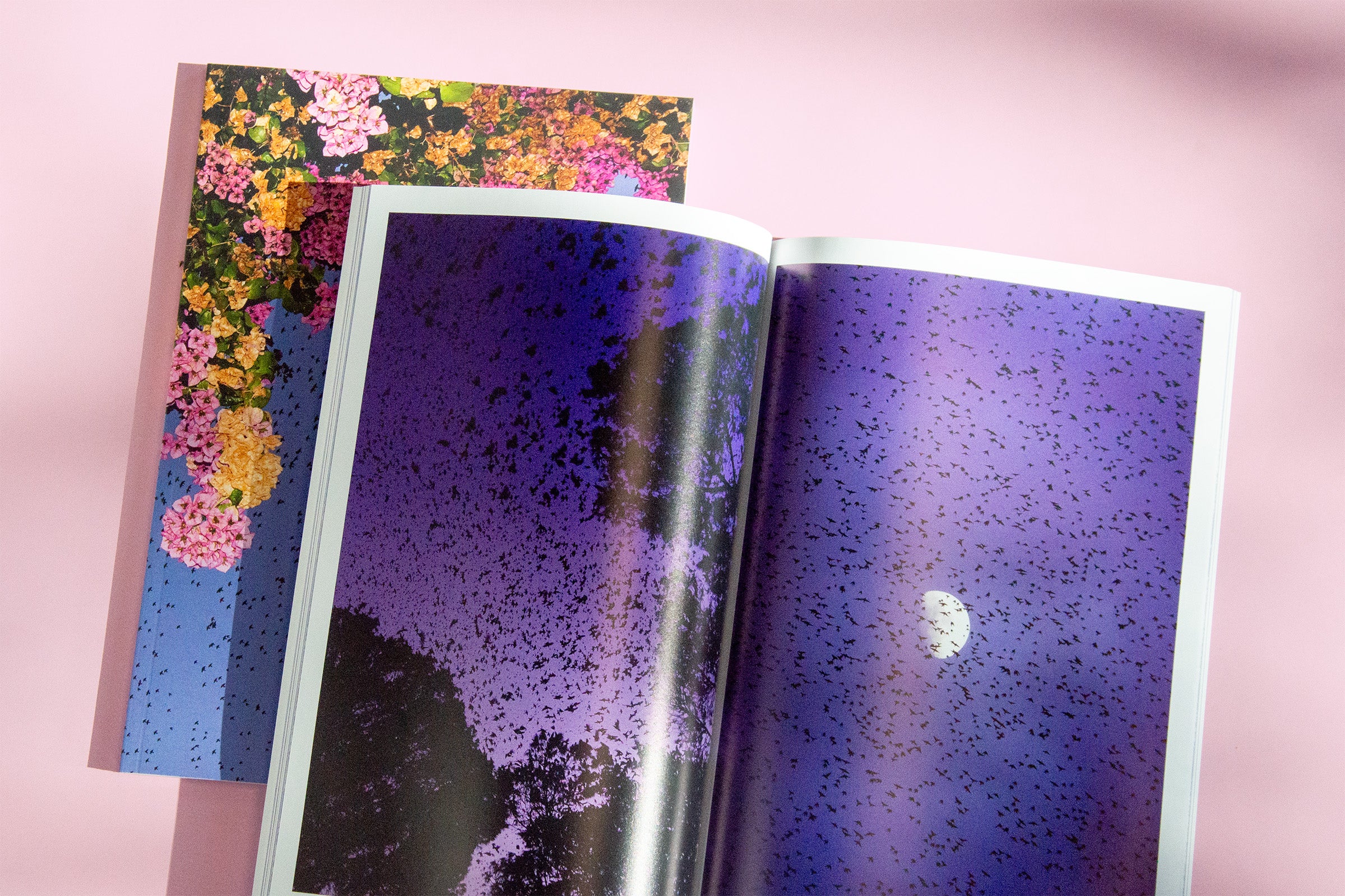 "Murmurations" Photography Book