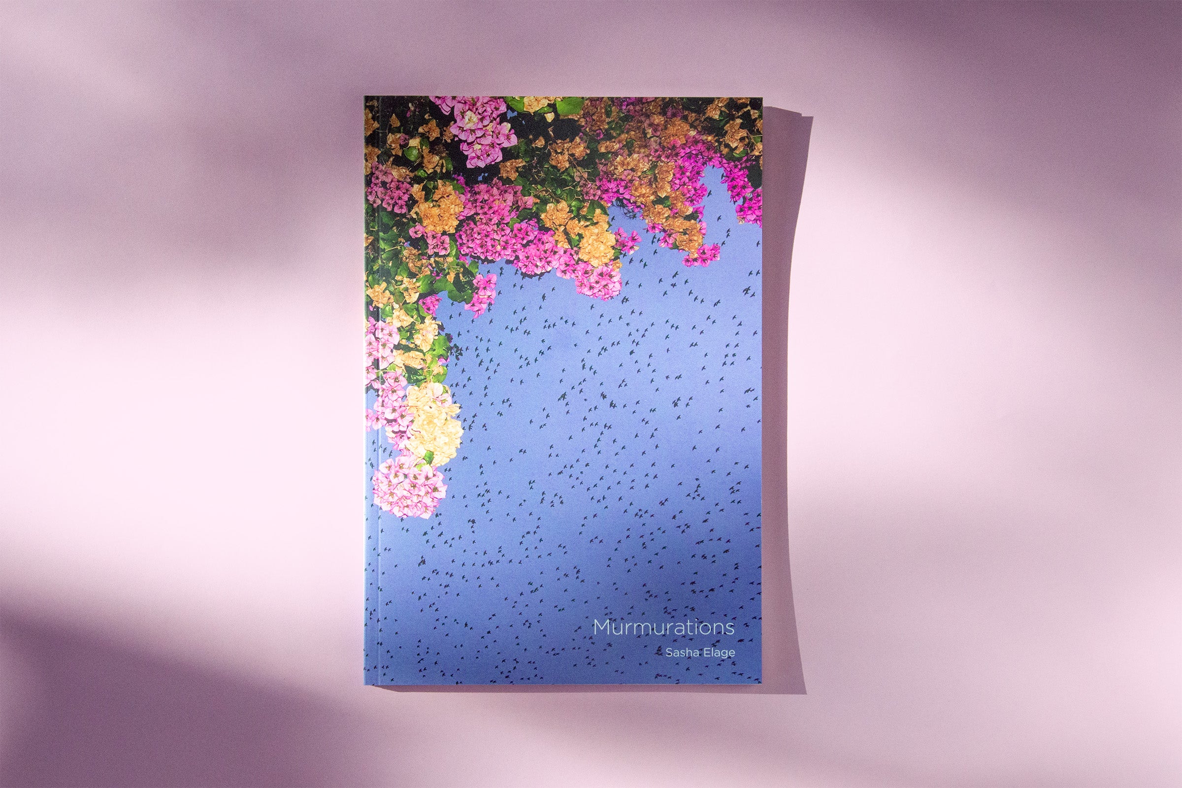 "Murmurations" Photography Book