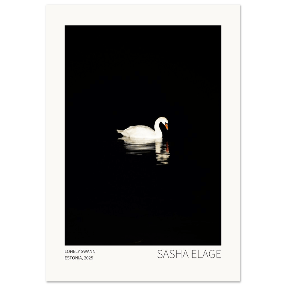 Lonely Swan - Open Edition